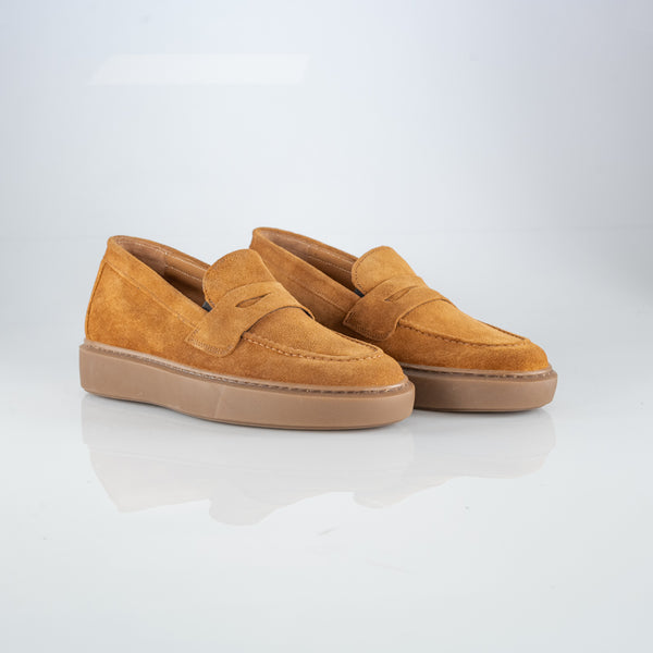 Terracina + 6CM 