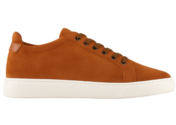 BRERA COGNAC - 7.5CM PIÙ ALTO