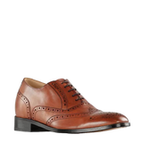 Brown leather dress shoe on a white background