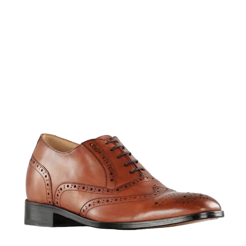 Brown leather dress shoe on a white background