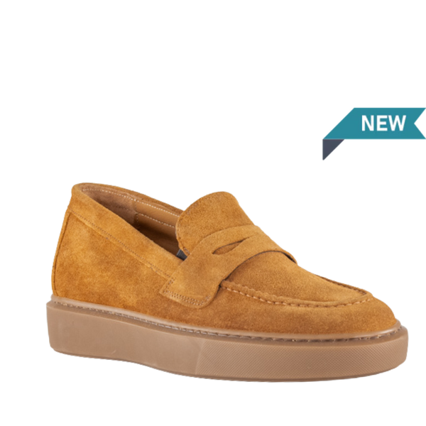 Terracina + 6CM 